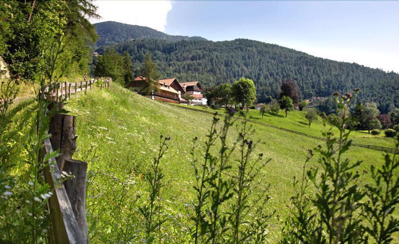 Naturhotel Wieserhof Lengstein Exterior foto
