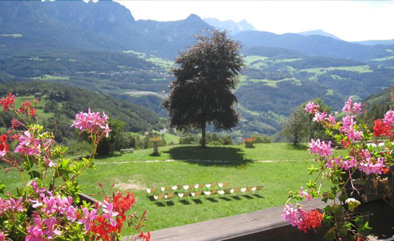 Naturhotel Wieserhof Lengstein Exterior foto